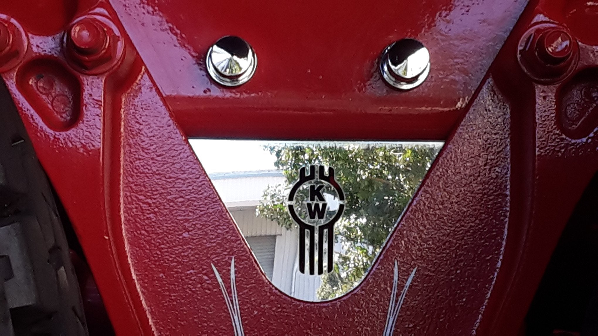 Custom stainless steel suspension infill (Bug Logo)