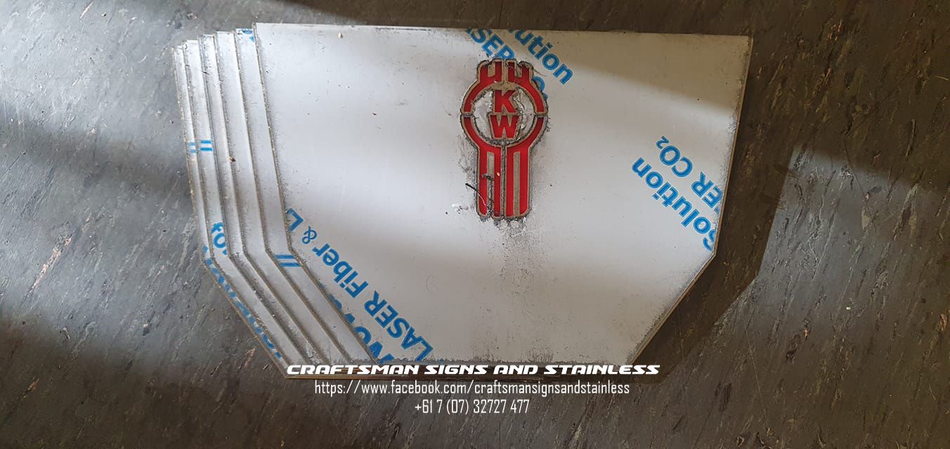 Custom stainless steel suspension infill (Bug Logo)