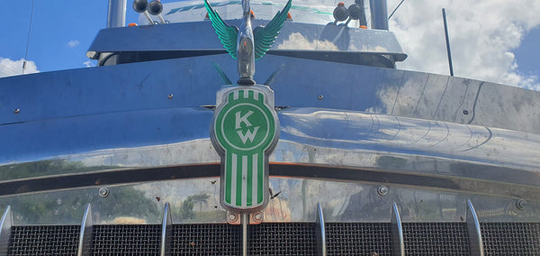 Epoxy domed Kenworth 'Crooked' bug logo vinyl skin in Green
