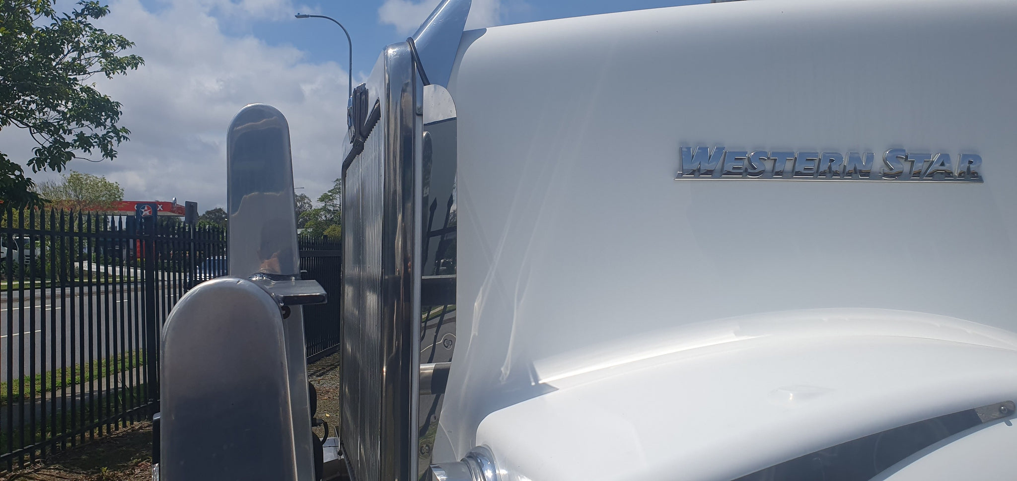 Western Star stainless steel side bug deflectors