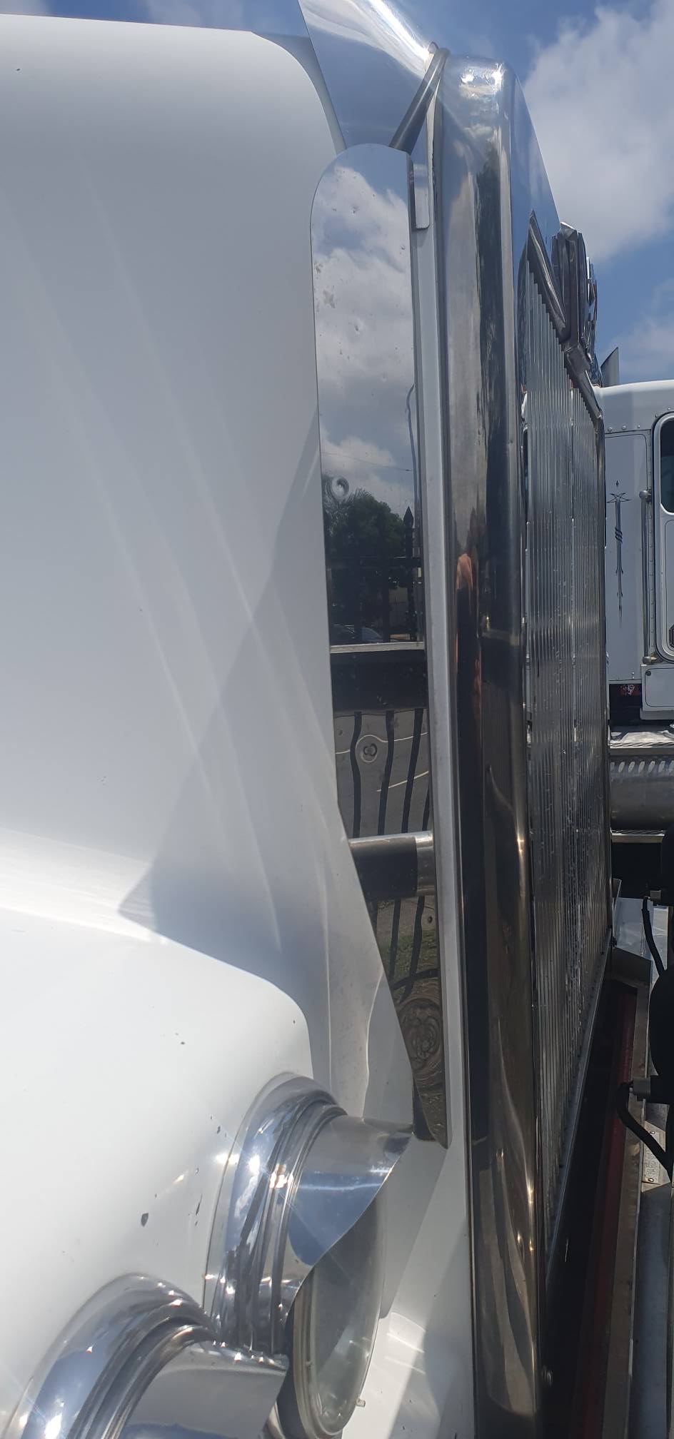Western Star stainless steel side bug deflectors