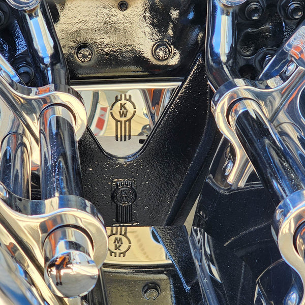 Custom stainless steel suspension infill (Bug Logo)